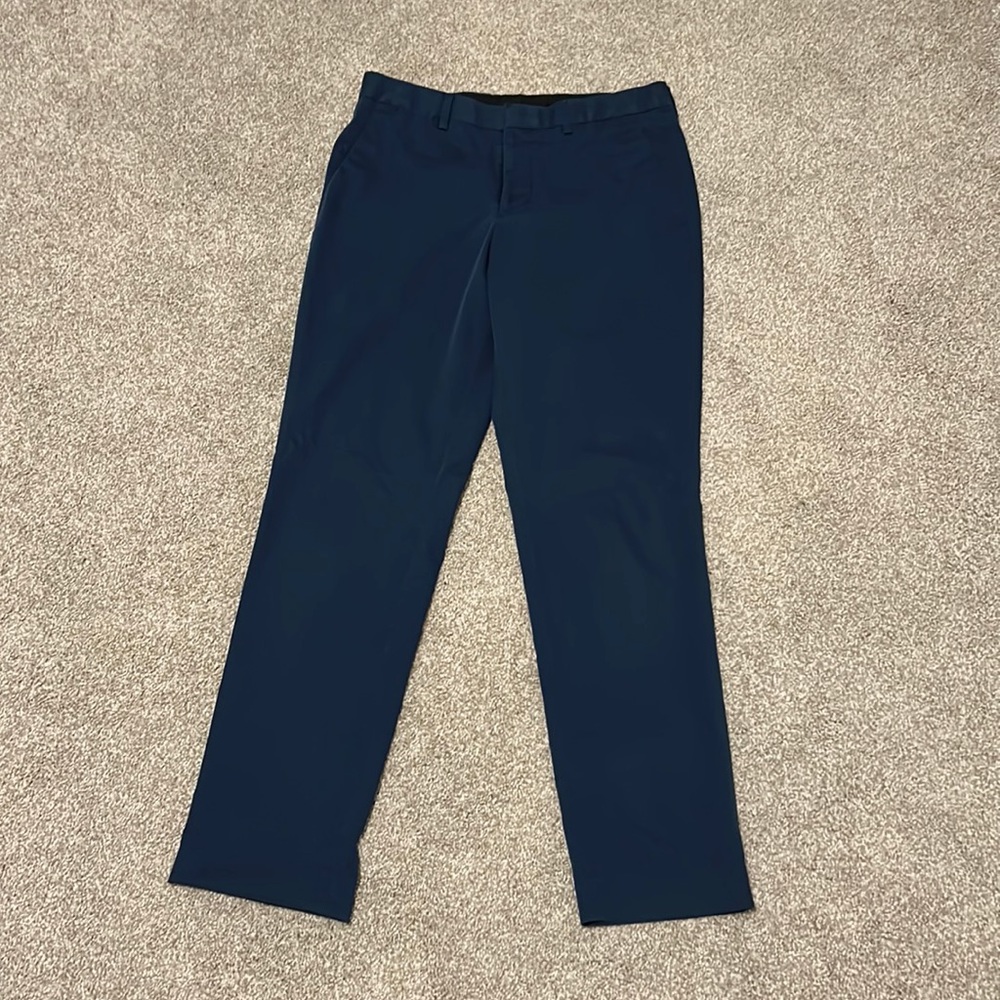 Express dress pant